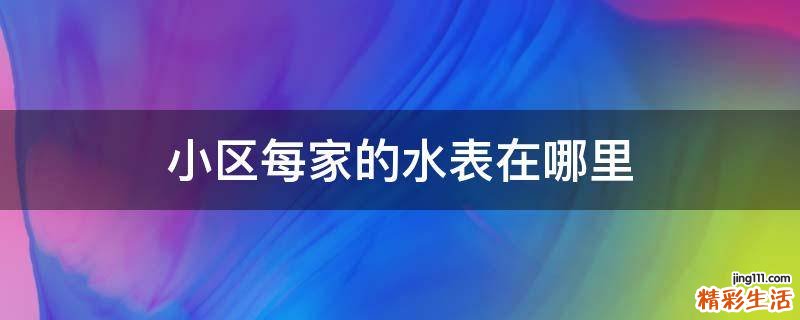 小区每家的水表在哪里