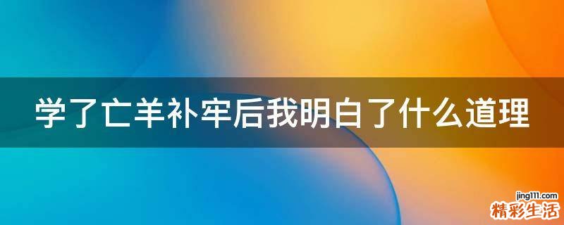 学了亡羊补牢后我明白了什么道理
