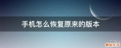 手机怎么恢复原来的版本