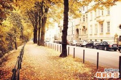 麻痹性斜视可以并发哪些疾病？