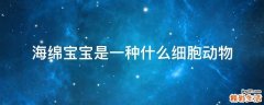 海绵宝宝是一种什么细胞动物