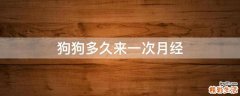 狗狗多久来一次月经