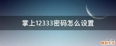 掌上12333密码怎么设置