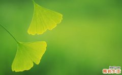 2 肾病中医新辩证