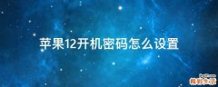 苹果12开机密码怎么设置