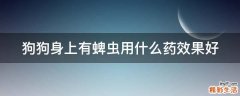 狗狗身上有蜱虫用什么药效果好
