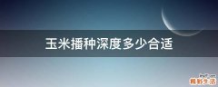 玉米播种深度多少合适