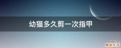 幼猫多久剪一次指甲