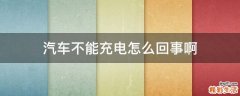 汽车不能充电怎么回事啊
