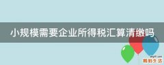 小规模需要企业所得税汇算清缴吗
