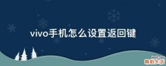 vivo手机怎么设置返回键