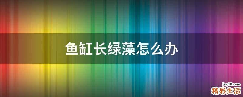 鱼缸长绿藻怎么办