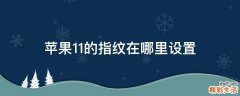 苹果11的指纹在哪里设置