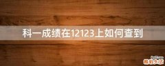 科一成绩在12123上如何查到