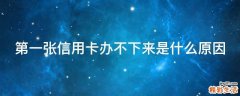 第一张信用卡办不下来是什么原因