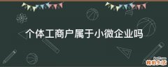 个体工商户属于小微企业吗
