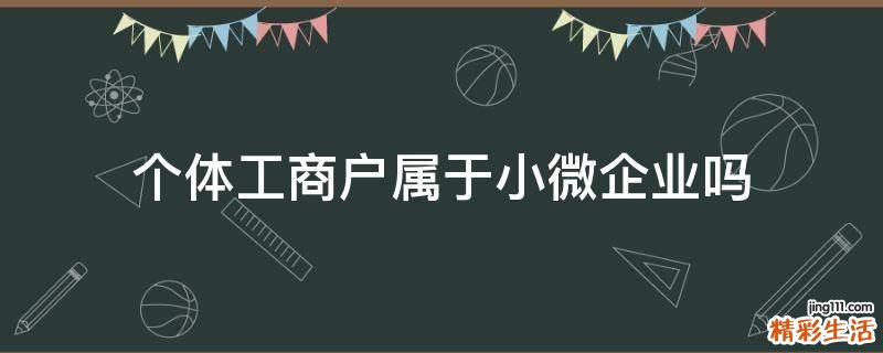 个体工商户属于小微企业吗