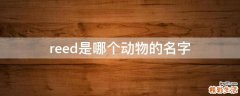 reed是哪个动物的名字
