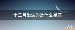 十二月出生的是什么星座