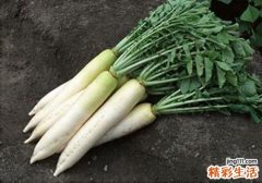 萝卜有点发黑能吃吗