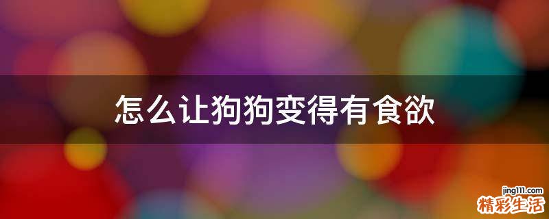 怎么让狗狗变得有食欲