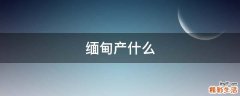 缅甸产什么