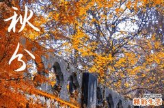 今年秋分是哪一天几点几分2023