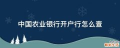 中国农业银行开户行怎么查