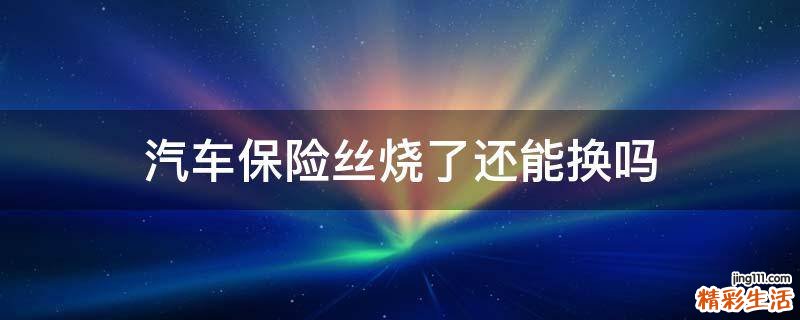 汽车保险丝烧了还能换吗