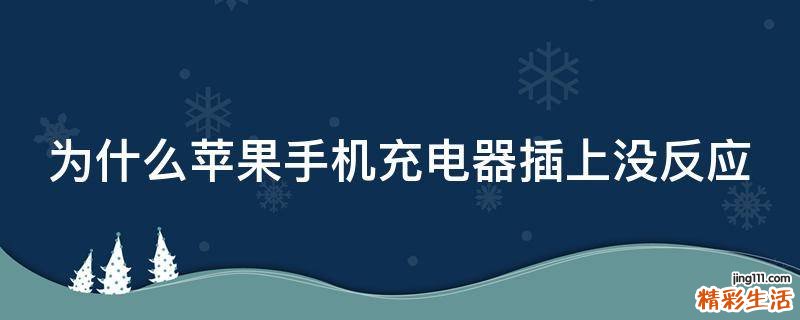 为什么苹果手机充电器插上没反应