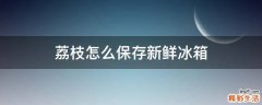 荔枝怎么保存新鲜冰箱