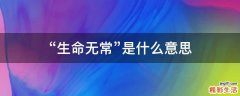 “生命无常”是什么意思
