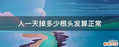 人一天掉多少根头发算正常