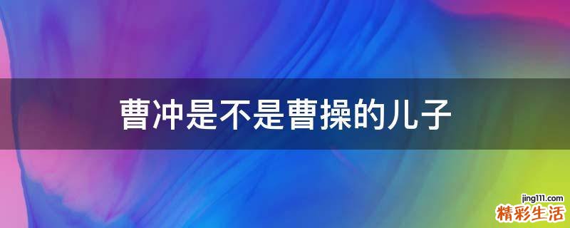 曹冲是不是曹操的儿子