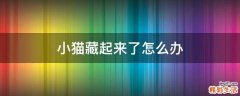 小猫藏起来了怎么办