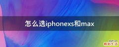 怎么选iphonexs和max