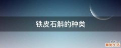 铁皮石斛的种类