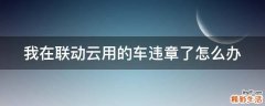 我在联动云用的车违章了怎么办