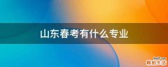 山东春考有什么专业