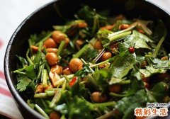 香菜有什么营养价值