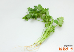 香菜根有什么作用 这些被你扔掉的好东西