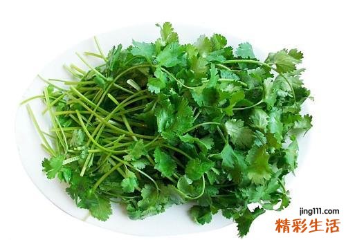香菜根能吃吗 香菜根煮水的功效