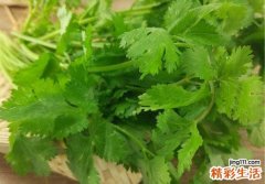 香菜有什么营养价值 它的营养价值居然比一般蔬菜都要高