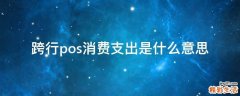 跨行pos消费支出是什么意思