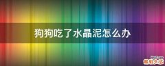 狗狗吃了水晶泥怎么办
