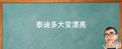 泰迪多大变漂亮