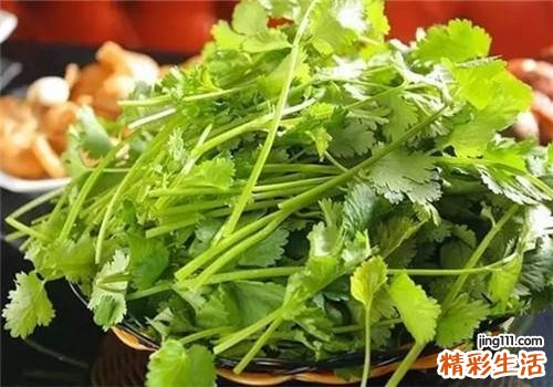 哺乳期吃香菜会回奶吗 哪些食物具有回奶功效