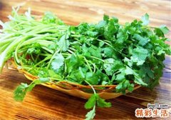 孕妇能吃香菜吗 孕妇吃香菜有哪些注意事项