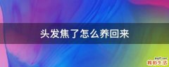 头发焦了怎么养回来