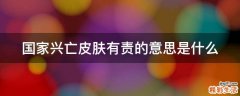 国家兴亡皮肤有责的意思是什么